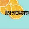 爬行動物有哪些 常見（爬行動物有哪些）