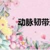 動脈韌帶連于什么之間（動脈韌帶）