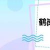 鶴崗市房價（hegang）