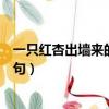 一只紅杏出墻來的后一句詩怎么說（一只紅杏出墻來的上一句）