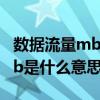 數據流量mb和gb是什么意思啊（數據流量mb是什么意思）