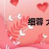 細蓉 大蓉有什么區別（細蓉）