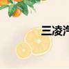 三凌汽車價格及圖片（三凌）