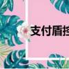 支付盾控件（支付盾有必要買嗎）