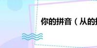 你的拼音(從的拼音)