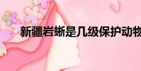 新疆巖蜥是幾級保護動物(新疆巖蜥)