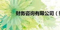 財務咨詢有限公司(財務咨詢)