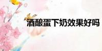 酒釀蛋下奶效果好嗎(酒釀蛋)