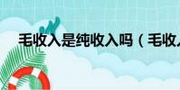 毛收入是純收入嗎(毛收入是什么意思)