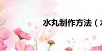 水丸制作方法(水丸)