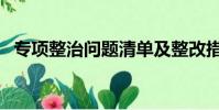 專項整治問題清單及整改措施(專項整治)