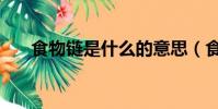 食物鏈是什么的意思(食物鏈的意思)