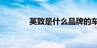 英致是什么品牌的車(英致)