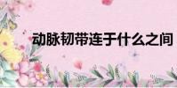 動脈韌帶連于什么之間(動脈韌帶)