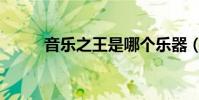 音樂之王是哪個樂器(音樂之王)