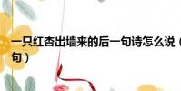一只紅杏出墻來的后一句詩怎么說(一只紅杏出墻來的上一句)