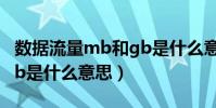數據流量mb和gb是什么意思啊(數據流量mb是什么意思)