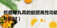 吃鹿鞭丸真的能提高性功能(鹿鞭和鹿茸哪個壯陽好)