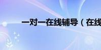 一對一在線輔導(在線1對1輔導)