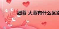 細蓉 大蓉有什么區別(細蓉)