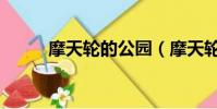 摩天輪的公園(摩天輪主題公園)