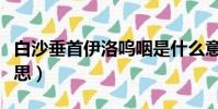 白沙垂首伊洛嗚咽是什么意思(嗚咽是什么意思)