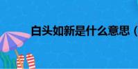 白頭如新是什么意思(白頭如新)