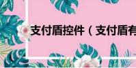 支付盾控件(支付盾有必要買嗎)