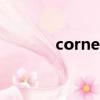 corner怎么讀（corn怎么讀）