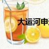 大運河申遺成功概況（大運河申遺）