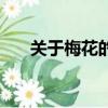 關于梅花的古詩詞（關于梅花的古詩）