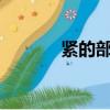 緊的部首?（緊的部首怎么讀）