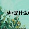 slic是什么意思中文（aholic什么意思）