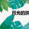 月光的拼音怎么寫?（月光的拼音）