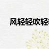風輕輕吹輕輕吹吹入你眼中（風輕輕吹）