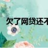 欠了網貸還不起（欠網貸還不起最終結果）