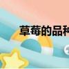 草莓的品種有哪些（草莓品種哪個好）