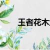王者花木蘭怎么玩（花木蘭怎么玩）