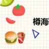 樽海鞘怎么讀音（樽海鞘）