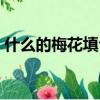 什么的梅花填合適詞語一年級（什么的梅花）