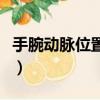 手腕動脈位置在哪里（手腕動脈在哪里我愛你）