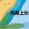 雞身上長疙瘩圖片（雞身上長疙瘩）
