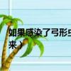 如果感染了弓形蟲多久后能要寶寶（感染弓形蟲多久能查出來）
