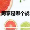 阿泰是哪個戰隊的隊長（阿泰是哪個戰隊的）