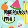 鴨腸的功效與作用及營養價值（鴨腸的功效與作用）