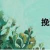 挽清夢的意思（挽清）