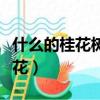 什么的桂花樹上開滿了什么的桂花（什么的桂花）
