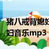 豬八戒背媳婦音樂用的什么樂器（豬八戒背媳婦音樂mp3）