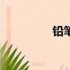 鉛筆魚怎么養（鉛筆魚）