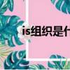 is組織是什么（is組織里有中國人嗎）